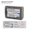 2-Pack NP-FP50 Battery with Dual Charger for Sony NP-FP30 NP-FP60