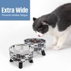 2PCS Elevated Cat Bowls with Slow Feeder, Wide Raised Stainless