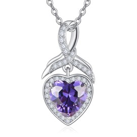 praymos Heart Necklace for Women, Sterling Silver February Birthstone Necklace Cubic Zirconia Necklace Mother's Day Gifts …
