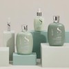 Champú Alfaparf Scalp Purifying Purificante 250ml Semi Di Lino