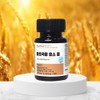 Farro Enzyme Grain Camute Digestive Fermentation Effect Italian Emmer Wheat