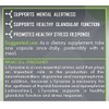 Element Nutraceuticals L-TYROSINE (150ct x 500mg)