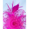 5 Pack Fuchsia Fascinators Hat for Women Tea Party Veil