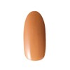 PRE GEL Color EX Smoky Camel R877 0.1 oz (3
