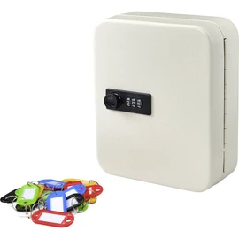 sygonix Key Cabinet SY-4737738 Number of Hooks 20 White