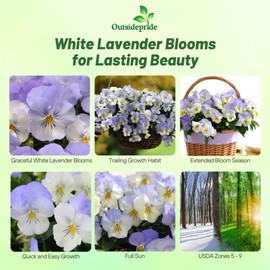 Outsidepride Cool Wave Frost Viola Pansy Seeds for Planting - 15 Pcs. Biennal, Spreading, Cold-Hardy & Pollinator Friendly Flowers with Fragrant Blooms for Garden Beds, Borders & Container Displays