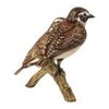 Goebel Bird of the Year 2023 Pair of Brownthroat Figurine