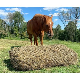 Derby Originals 90” X-Large Giant Slow Feed Hanging Hay Net for Horses - Black