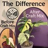 Grow Queen Craft Aroid Potting Mix- Elite Alocasia, Philodendron, Monstera