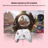 PC Controller, BIGBIG WON Rainbow 2 SE Wireless Controller Motion