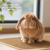 3 Pack Rabbit Scratching Pads - Soft Jute Chew Mats