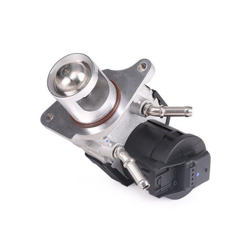 Borgwarner (Wahler) 710327D/1 EGR Valve