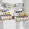 ZDDLOINP Pull Out Spice Racks for Inside Cupboard, Spice Rack