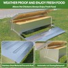 Stainless Steel Automatic Chicken Feeder, Treadle Chicken Feeder with Weatherproof