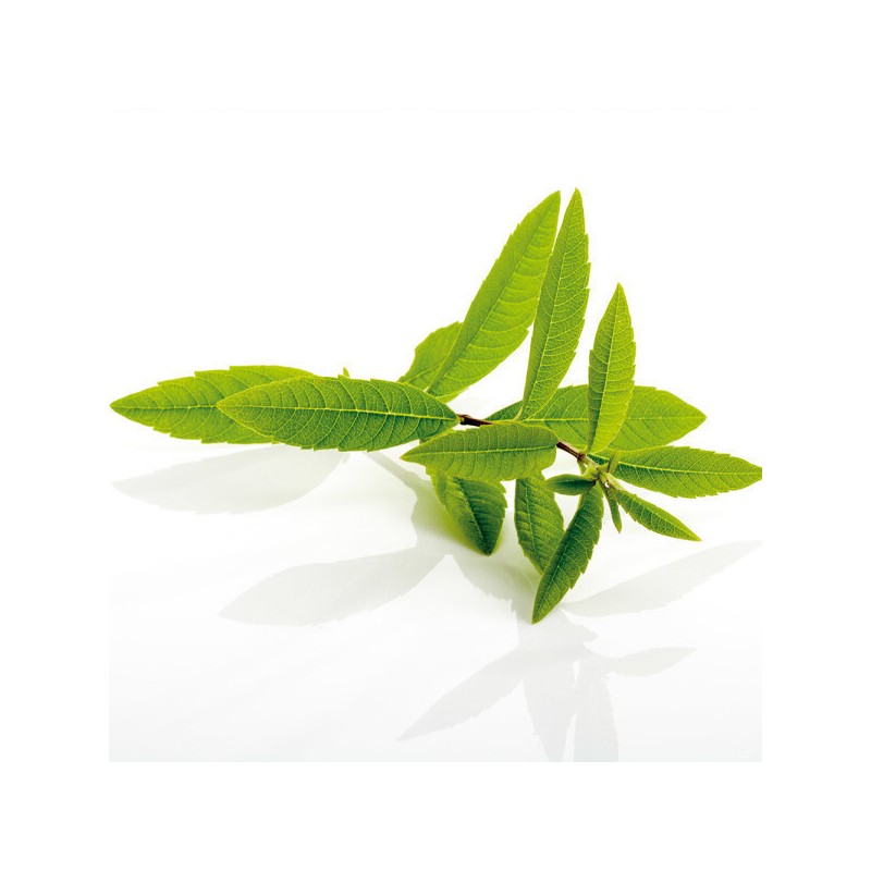 Charm goods Lemon Verbena Extract Complex Tablets Complex Tablets 600mg