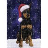 Doggie of The Day Doberman Pinscher Dogs - Let it
