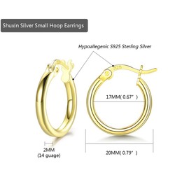 Shuxin Silver Hoops Earrings for Women, 925 Sterling Silver Gold Hoop Earrings for Men Girls Boys, Hypoallergenic Huggie Hinged Unisex Small Sleeper Hoops, Diameter 20mm, Come with Jewellery Gift Box