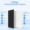 Myareds 115115 Replacement Filter A for Winix Plasmawave C535 Air