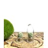 Live Wearable Cactus Necklace Miniature White Cactus Necklace Nature Terrarium