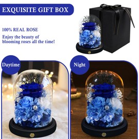 Preserved Flowers Roses Gifts for Women, Forever Eternal Light up Rose in Glass Dome for Home Decor Long-Lasting Real Flowers Gifts for Mom Grandma Wife Girlfriend Anniversary Birthday Gifts for Her