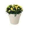 elho Green Basics Top Planter 23 - Flower Pot for