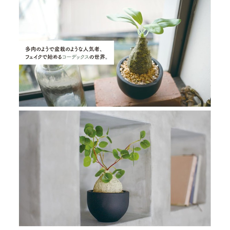 Fake Green Glacilis Codex Eklia Greenery Life Deodorizing Artificial Green