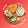 Calgon Hawaiian Ginger Skin Nourishing Body Cream 8 Oz /