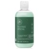 Paul Mitchell Tea Tree Special Cool Beauty Salon Shampoo 300ml x 1 / 폴미첼 티트리 스페셜 쿨 미용실 샴푸 300ml 1개