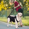 Yuragim Dog Carrying Aid, Portable Dog Harness Stairs Adjustable Carrying