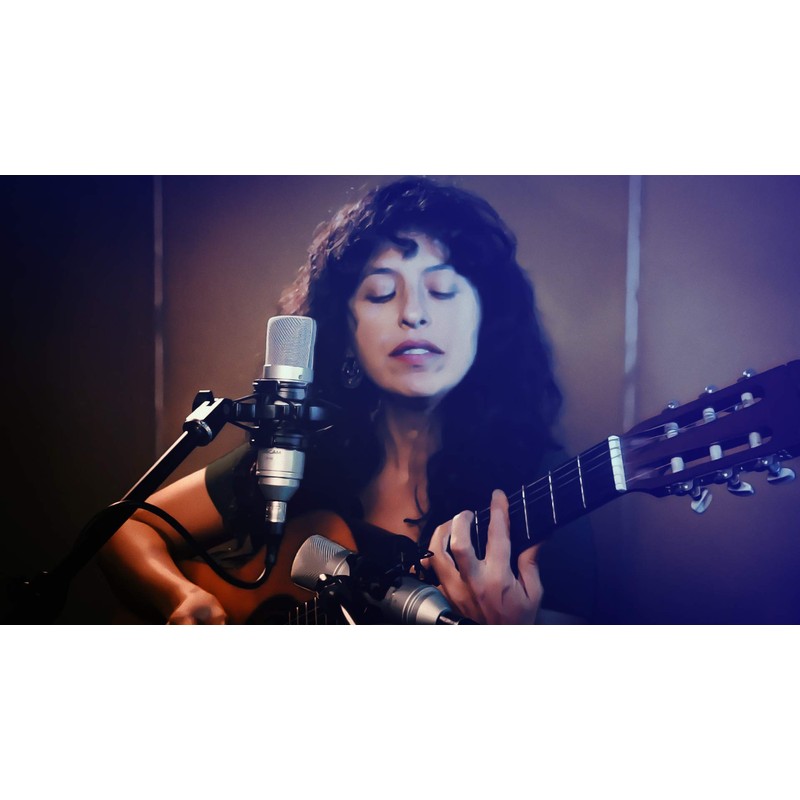 Tascam TM-80 Condenser Microphone