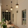 LOG BARN Outdoor Pendant Lights, Porch Fixture in Painted Black