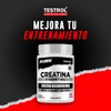 Testrol Creatina Essential en Polvo Creatina Monohidratada Apoyo a Potencia,