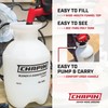 Chapin 20075 Disinfectant Bleach Sprayer, 1 Gallon, Made in The
