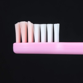 Lion Children Hub Brush for 6-12 Years Old, Set of 12