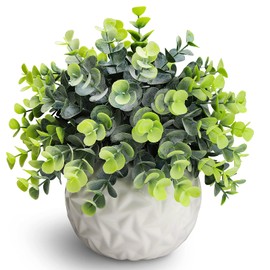 Hopewood Fake Plants Indoor Small Artificial Eucalyptus Plants in White Pots for Bedroom Home Decor Faux Plants Decor