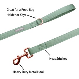 Lionet Paws Dog Lead, Silk Lead for Small, Medium and Large Dogs, Matching Collar for Girls and Boys