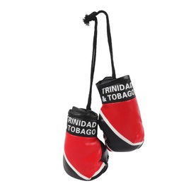 SandT Collection Mini Boxing Gloves - Hanging Punching Gloves - Trinidad and Tabago