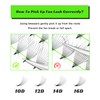 Kolybel 500 Eyelash Extensions 14D 0.03 Thickness 8-15mm Premade Fans