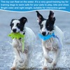 WinnerWhy 4 Pack Dog Floating Toy Teething Toys for Small