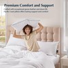 Pacific Coast Pillows Queen Size Set of 2, Goose Feather