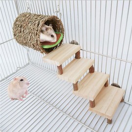 Hamster Chew Toys,Guinea Pig Wooden Molar Toys Wooden Stair and Drill Pipe Set Safe Climbing Protect Teeth Health for Golden Silk Bear Totoro Hamster Guinea Pig Gerbil Etc