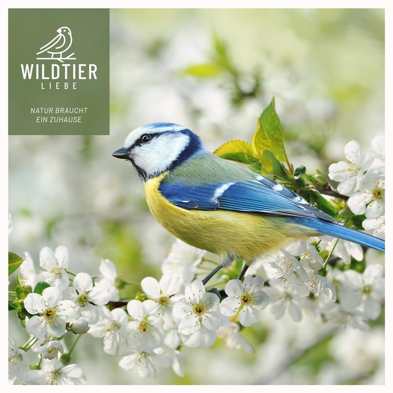 wildtier liebe Fat Ball Holder 31 cm, Green - Bird