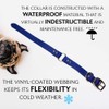 Regal Dog Products Waterproof Heavy Duty Dog Collar and Leash