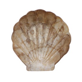 Capiz Dish Scalloped Clam Shape Oyster Shell Trinket Jewelry Tray - Gold