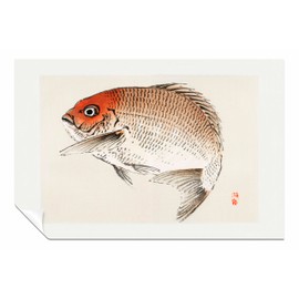 Tai red Seabream Fish Unframed Poster Print, Pictures for Home Walls, Bedroom, Living Room & Bathroom Decor 31x20cm (12x8in)