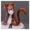 Fxaelian Cosplay Long Cat Tail and Ears Headband 2 PCS
