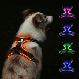 Taglory Light Up Dog Harness, Rechargeable No Pull Dog Vest with 3 Lightning Modes, Reflective Dog Harness with 2 Leash Clips & 4 Adjustable Slide Strips for Large Dogs, Orange-Orange, L