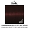 Colorazione Professional Performance 4_2 Castano Mogano Palette