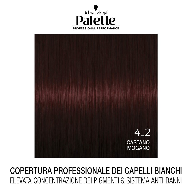 Colorazione Professional Performance 4_2 Castano Mogano Palette