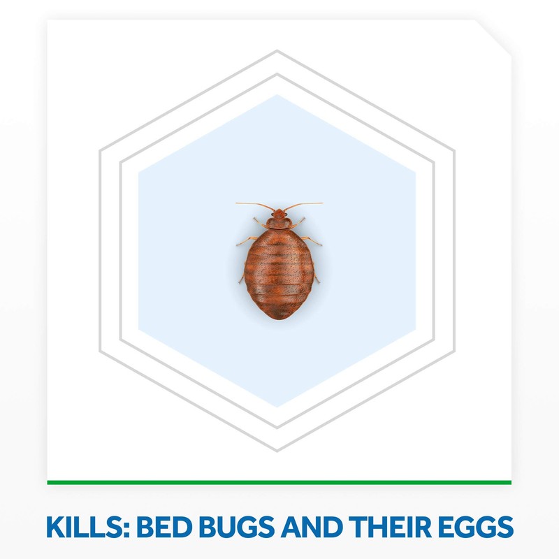 Raid Max Bed Bug Extended Protection, Kills Bed Bugs for